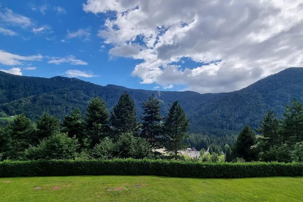 Happy Guest - Mountain Panorama *